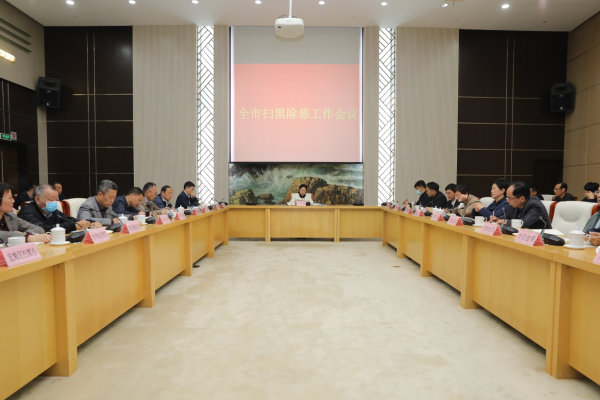 我市召开扫黑除恶工作会议